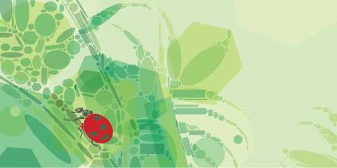 Ladybird Stock Illustration