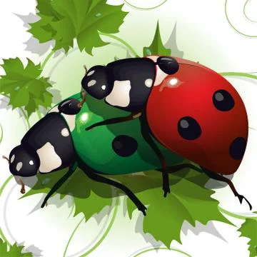 Ladybird Stock Illustration