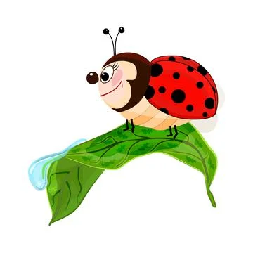 Ladybird on leaf isolated on white background. Cute cartoon ladybird. Stock Illustration