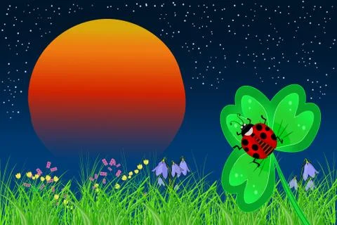 Ladybird on the leaf on a sunset background. Stock Illustration