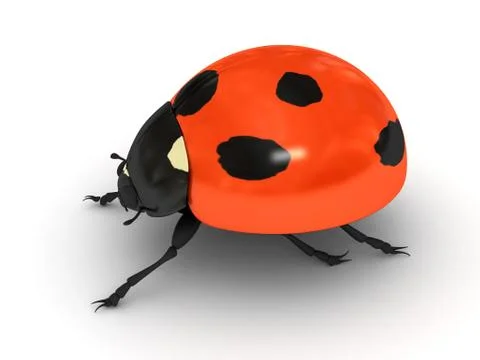 Ladybird over white background Stock Illustration