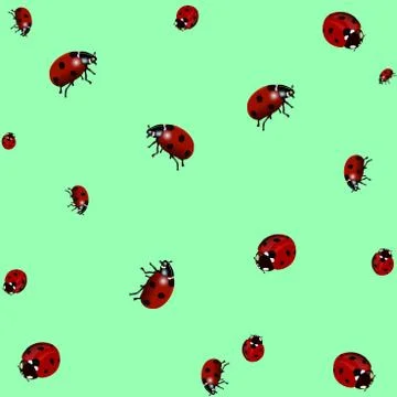 Ladybird texture. Realistic design. Vector illustration. Stock Illustration