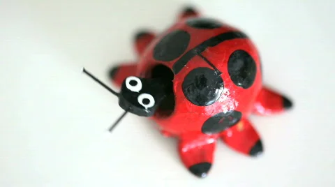 Ladybird on a white background Stock Footage 495517
