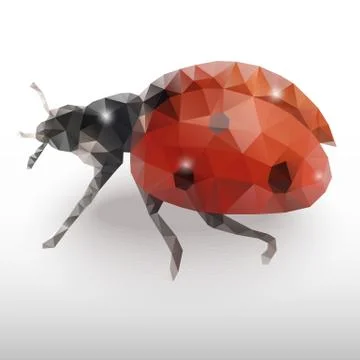 Ladybird on white background Stock Illustration