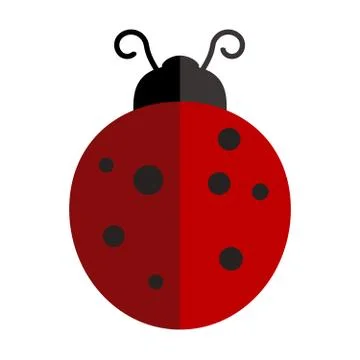 Ladybird on white background . Vector illustration. Stock Illustration