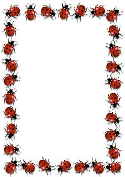 Ladybirds Frame Stock Illustration