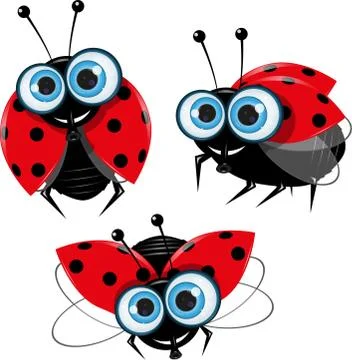 Ladybirds Stock Illustration