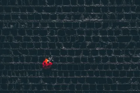 Ladybug abstraction Stock Photos