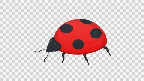 ladybird clipart no spots car