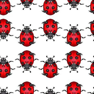 Ladybug beetle seamless pattern Stock Illustration