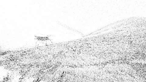 Ladybug black and white background Stock Footage 230921280