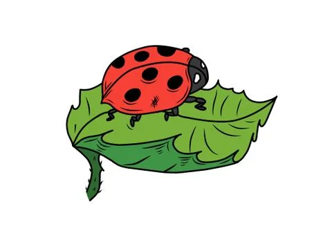 Ladybug bright little insect on a large leaf illustration isolated on white b Stock Illustration