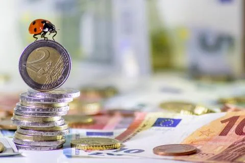 Ladybug on a bunch of european money with coins and bank notes Stock Photos