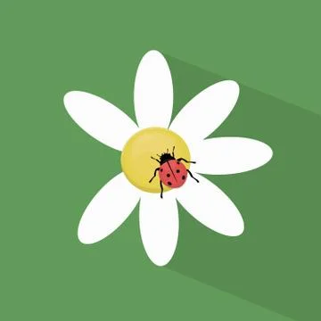 Ladybug on camomile Stock Illustration