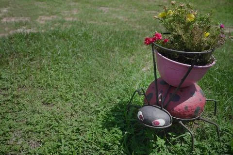 Ladybug carrying the burden. Stock Photos