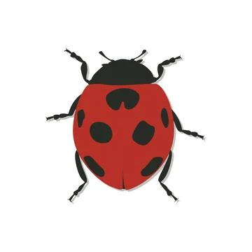 Ladybug cartoon design vector. Stock Illustration