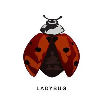 Ladybug cartoon vector design. Stock Illustration