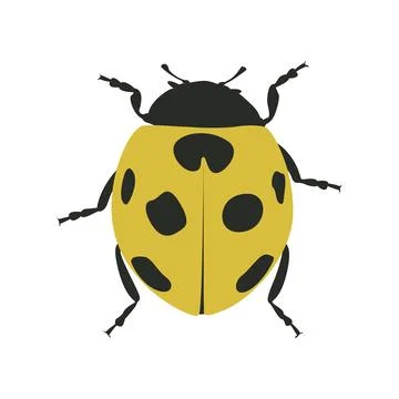 Ladybug cartoon vector. Stock Illustration