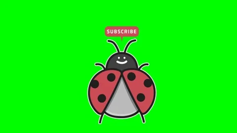 Ladybug character subscribe Stock Footage 172067218