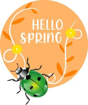 Ladybug with circle and flowers Stock Illustration