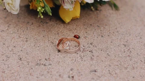 A ladybug crawls next to a wedding party ring. Close-up shooting Stock Footage 311762157