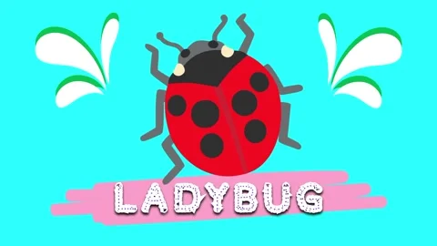 Ladybug cute adorable animals name animated motion graphics 3D Stock Footage 297691775