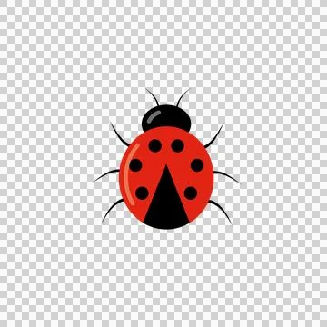 Ladybug cute character. Little red ladybird Stock Illustration