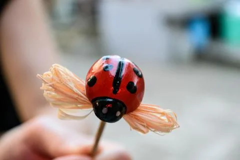 Ladybug, cute easter decoration Foto stock