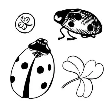 Ladybug doodle st patricks day clover shamrock with good luck. Stock Illustration