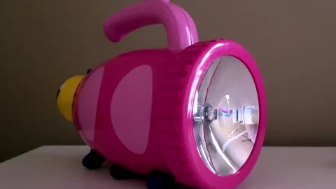 Ladybug Flashlight Close-Up Stock Footage 162869360