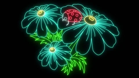 Ladybug on a flower Stock Footage 131537535