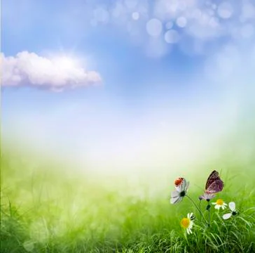 Ladybug on flowers Stock Illustration