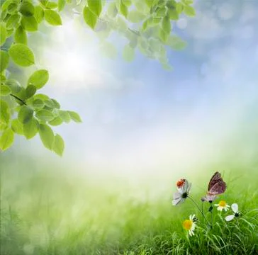 Ladybug on flowers Stock Illustration