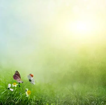 Ladybug on flowers Stock Illustration