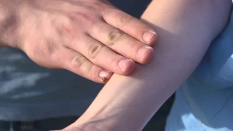 Ladybug Stock Footage 110846676