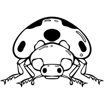 Ladybug front view line art Stock Illustration