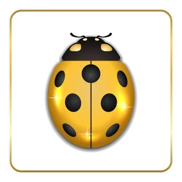 Ladybug gold insect small icon Illustrazione stock