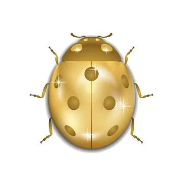 Ladybug gold insect small icon Stock Illustration