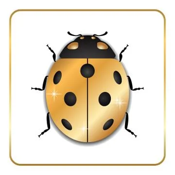 Ladybug gold insect small icon. Golden metal lady bug animal sign, isolated o Stock Illustration