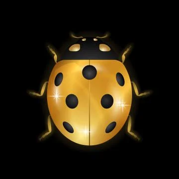 Ladybug gold insect small icon. Golden lady bug animal sign, isolated on blac Stock Illustration