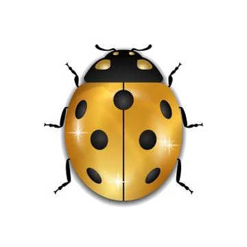 Ladybug gold insect small icon. Golden lady bug animal sign, isolated on whit Illustrazione stock