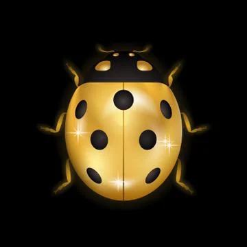 Ladybug gold insect small icon. Golden lady bug animal sign, isolated on blac Stock Illustration