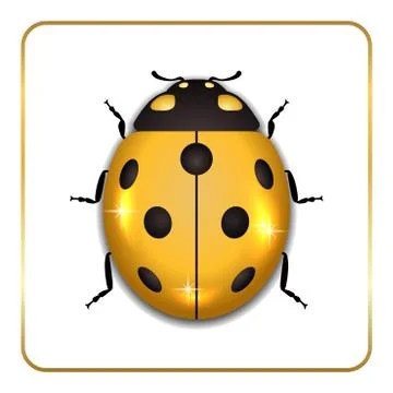 Ladybug gold insect small icon. Golden lady bug animal sign, isolated on whit Stock Illustration