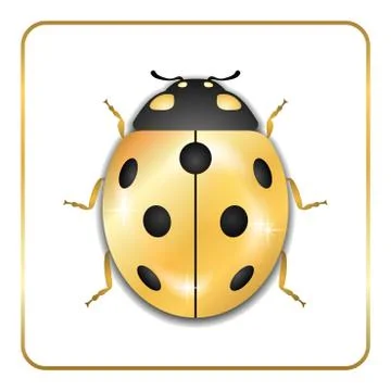 Ladybug gold insect small icon. Golden metal lady bug animal sign, isolated o Stock Illustration