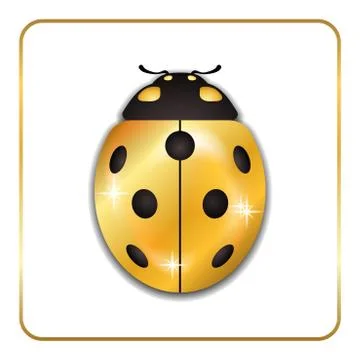 Ladybug gold insect small icon. Golden lady bug animal sign, isolated on whit Stock Illustration