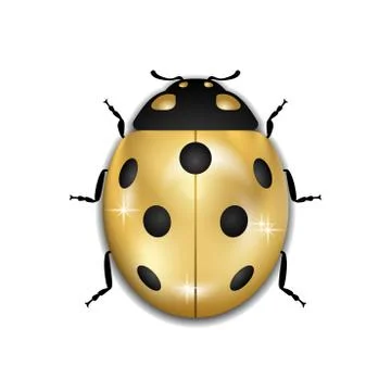 Ladybug gold insect small icon. Golden lady bug animal sign, isolated on whit Stock Illustration