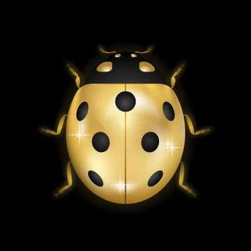 Ladybug gold insect small icon. Golden metal lady bug animal sign, isolated o Stock Illustration