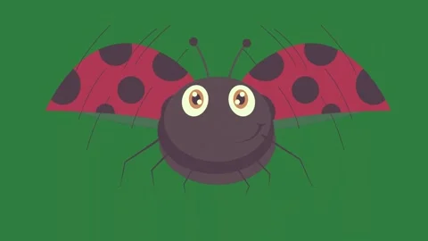 A ladybug on green background and lady bug green screen colorful design motion Stock Footage 337336224