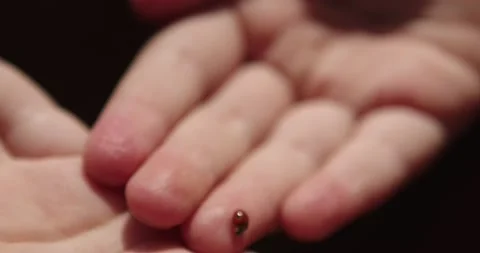 Ladybug on the hand 2 Stock Footage 131570510
