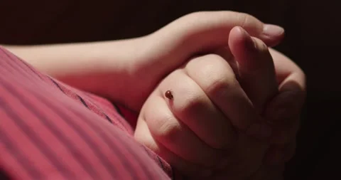 Ladybug on the hand 3 Stock Footage 131570517